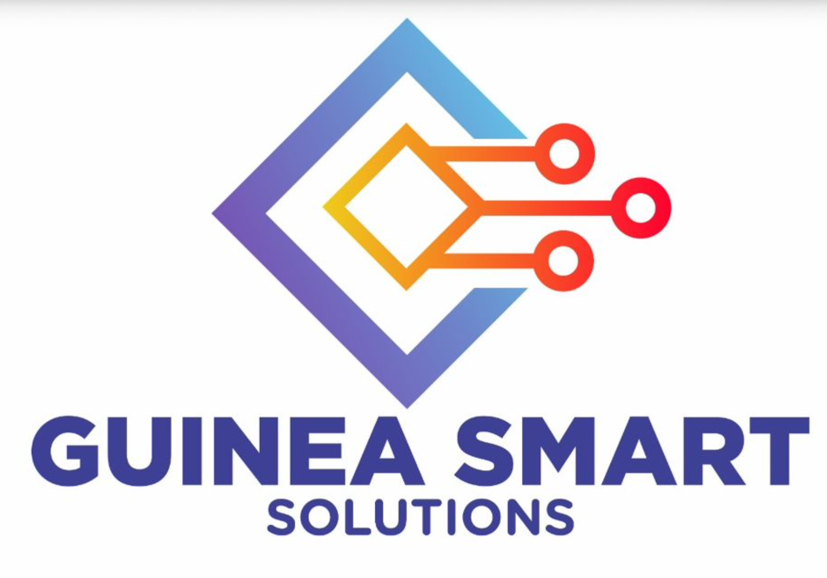 Guinea Smart Solutions